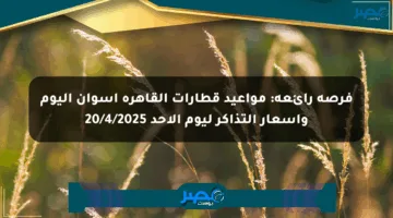 فرصة رائعة: مواعيد قطارات القاهرة أسوان اليوم وأسعار التذاكر ليوم الأحد 20/4/2025